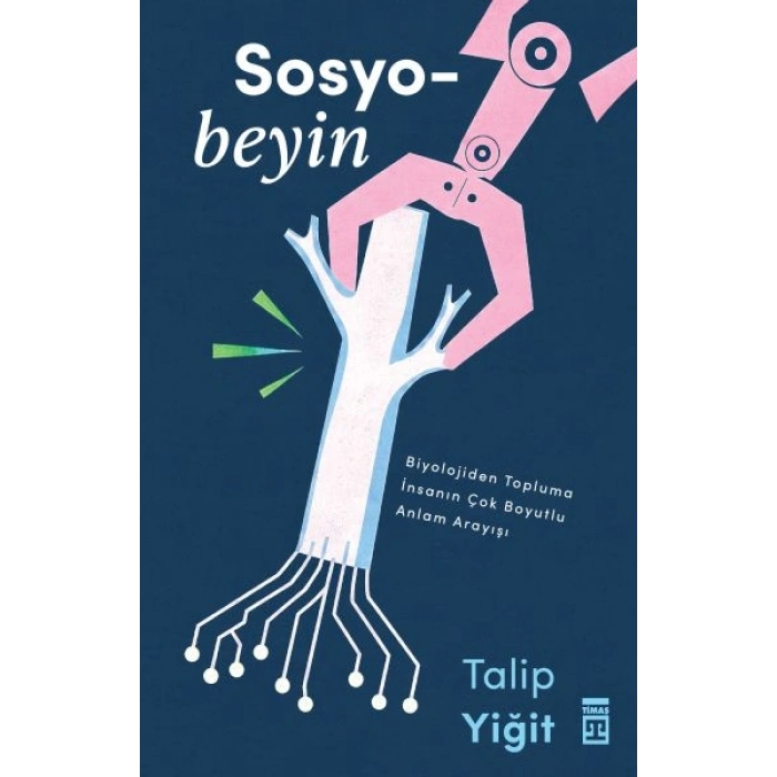 Sosyobeyin