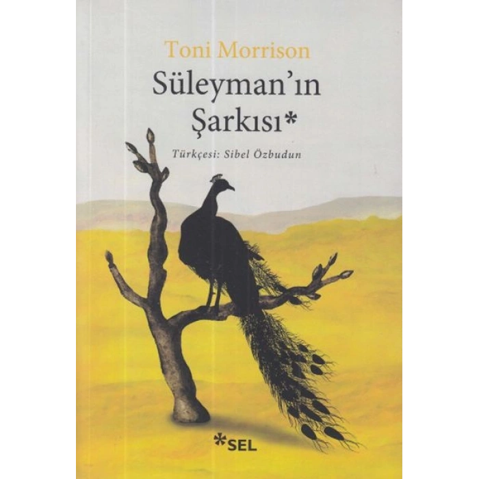 Süleyman’ın Şarkısı