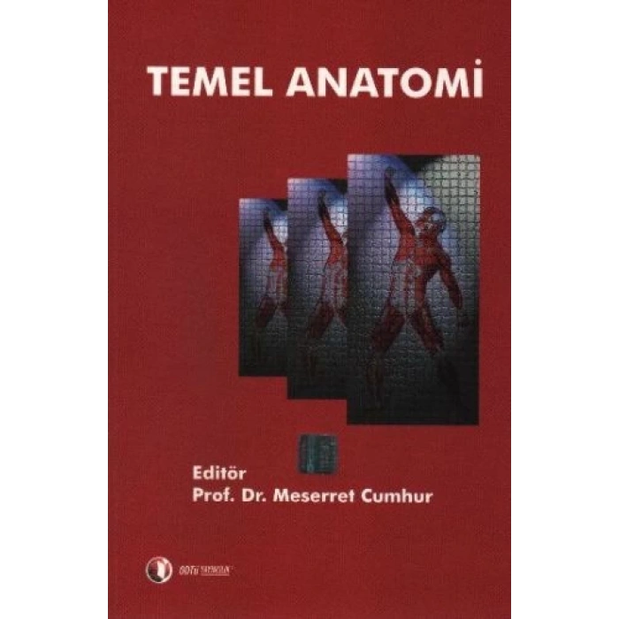 Temel Anatomi
