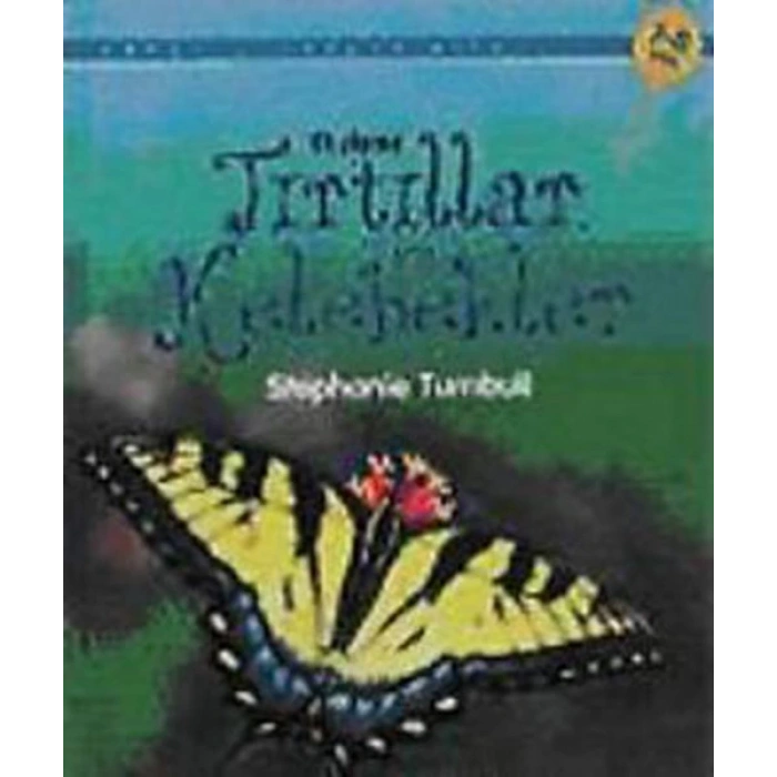 İlk Okuma - Tırtıllar ve Kelebekler