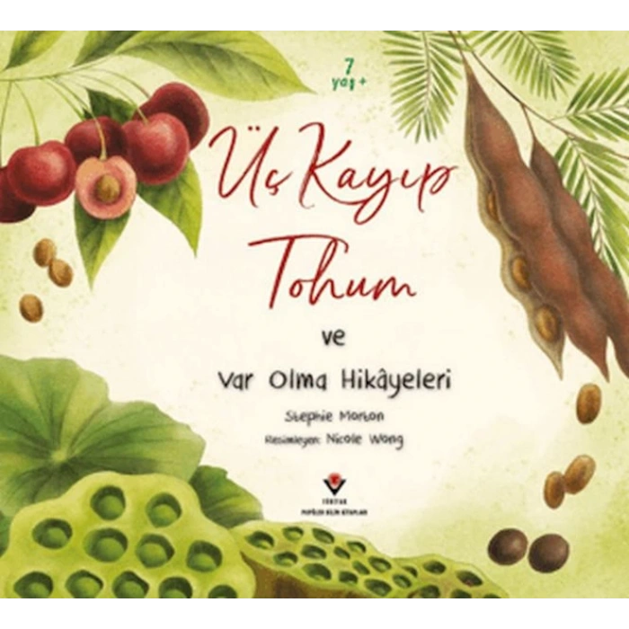 Üç Kayıp Tohum ve Var Olma Hikayeleri