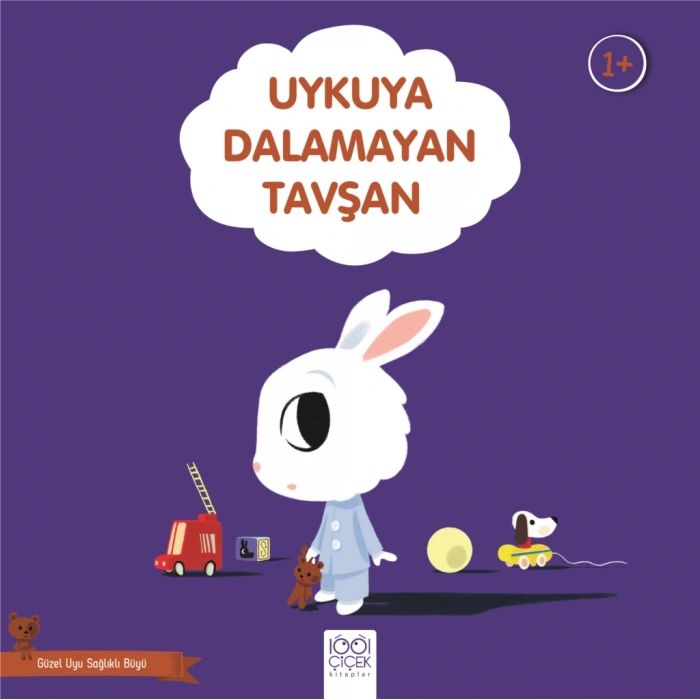 Uykuya Dalamayan Tavşan