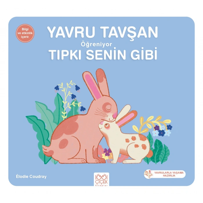 Yavru Tavşan Öğreniyor Tıpkı Senin Gibi