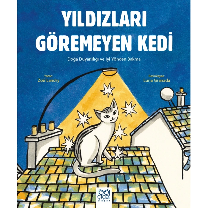 Yıldızları Göremeyen Kedi