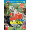 3D Şaşırtıcı Bilgiler - Garip Ama Harika