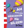 Ah Nerelere Gideceksin Bir Bilsen!