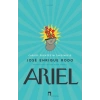Ariel