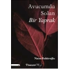 Avucumda Solan Bir Yaprak