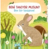 Beni Tanıyor Musun? Ben Bir Tavşanım!