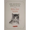Bir Kediden Mektuplar
