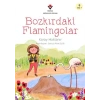 Bozkırdaki Flamingolar