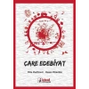 Çare Edebiyat
