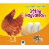 Çiftlik Hayvanları / Doğru mu Yanlış mı?