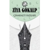 Çınaraltı Yazıları