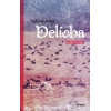 Delioba  - Nehir Söyleşi