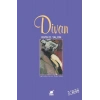 Divan