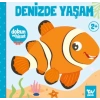 Dokun ve Hisset Denizde Yaşam