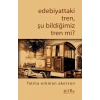 Edebiyattaki Tren, Şu Bildiğimiz Tren mi?