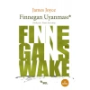 Finnegan Uyanması
