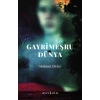 Gayrimeşru Dünya