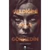 Geldiğimi Asla Görmedin