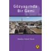 Gözyaşımda Bir Gemi