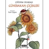 Günebakan Çiçekleri