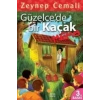 Güzelcede Bir Kaçak, Memo