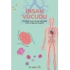 İnsan Vücudu