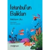 İstanbul’un Balıkları