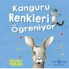 Kanguru Renkleri Öğreniyor