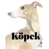 Köpek Kitabı - Resim Sanatında Köpekler