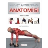 Kuvvet Antrenmanı Anatomisi