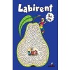 Labirent 5 Yaş