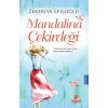 Mandalina Çekirdeği