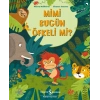 Mimi Bugün Öfkeli Mi?
