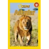 National Geographic Kids - Aslanlar