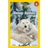 National Geographic Kids - Kutup Ayıları