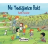 Ne Yediğimize Bak Sağlıklı Yiyecekler