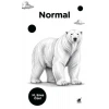 Normal