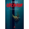 Oblivion - Karanlık İstila