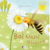 Oluşum Hikayeleri - Bal nasıl oluşur?
