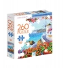 Pencere Puzzle 260