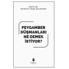 Peygamber düşmanları ne demek istiyor?