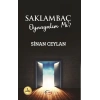 Saklambaç Oynayalım mı?
