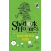 Sherlock Holmes: BaskervilleLerin Köpeği