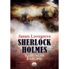 Sherlock Holmes - Kabuslar Baronu