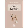 Sirk Köpeği