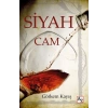 Siyah Cam