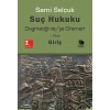 Suç Hukuku Dogmatiği ve/ya Grameri I. Kitap - Giriş
